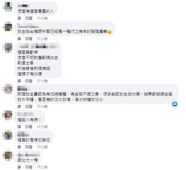 台南野生海龜遭人用紅漆寫「佛」字 水中詭異畫面引網怒:智商堪憂