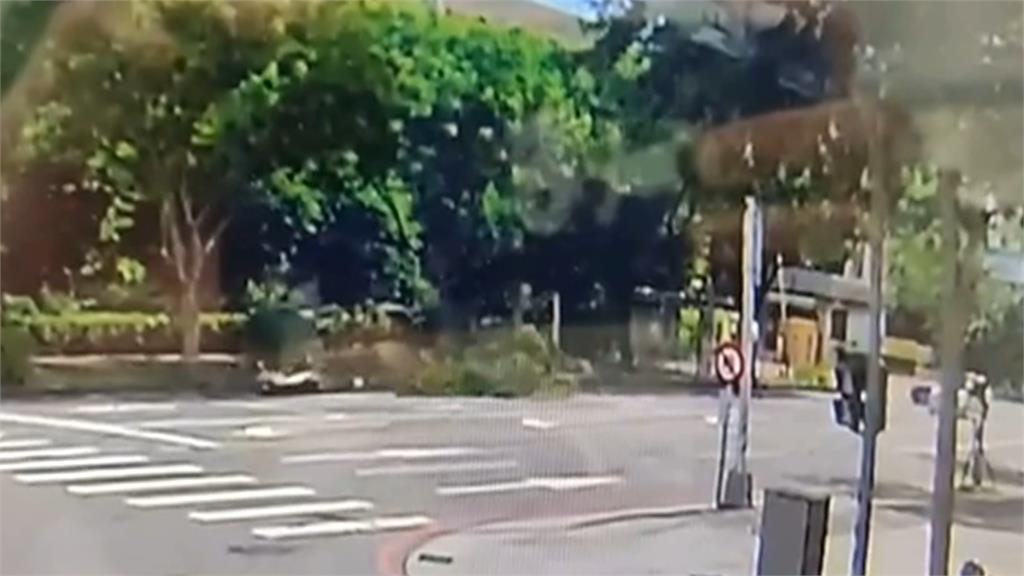 台中路樹突斷裂 猛砸路過騎士2人傷