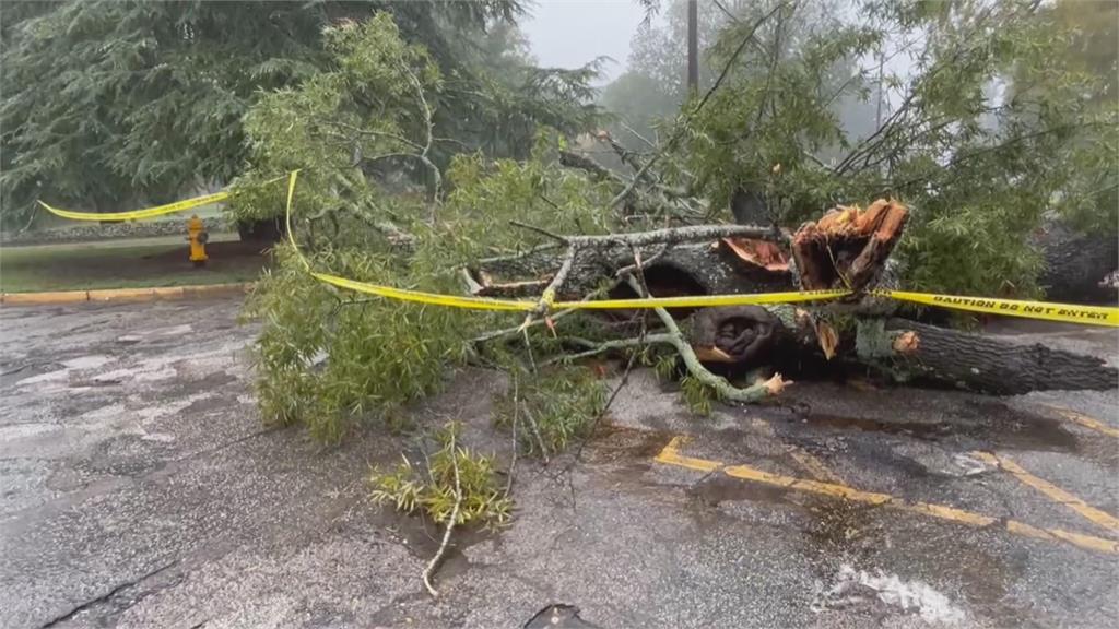 每小時百公里風速 "奧菲利雅"登陸北卡羅來納州 強風豪雨釀大停電