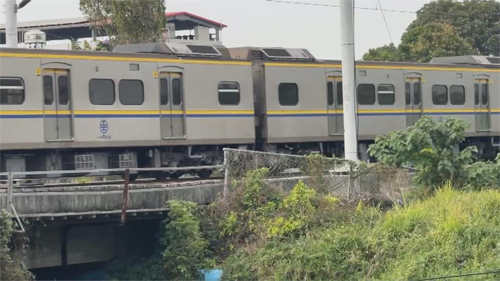 抓綠鬣蜥誤觸高壓電男二度燒燙傷　專家：長竿只適合空曠地區使用