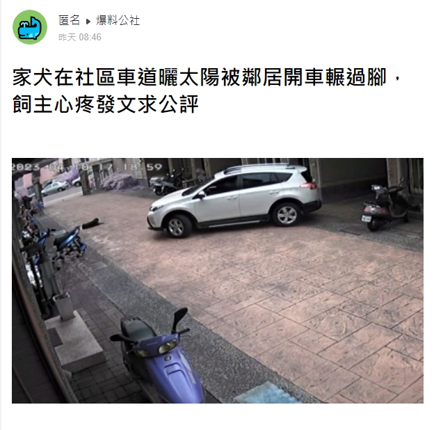 狗狗社區內愜意日光浴...下秒被車輾過腳！飼主發文討拍卻遭大逆風