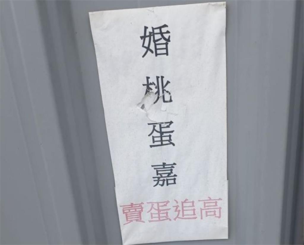 8字神秘標語「婚桃蛋嘉賣蛋追高」一票網看傻…內行人讀完秒懂:太好笑了!