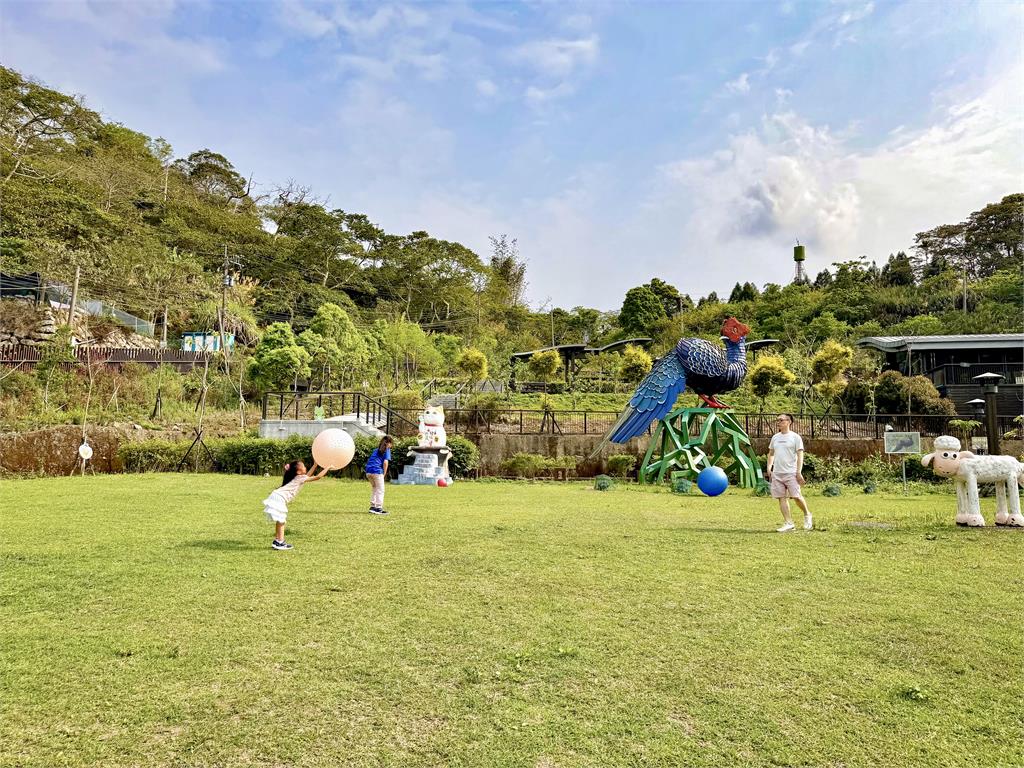 阿里山腳下親子賞螢熱點　美食×體驗×夜間生態一次玩