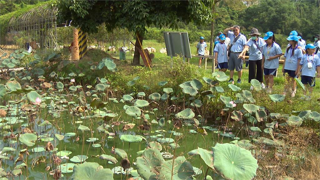 農村變成大型遊樂場 農二代返鄉推廣食農教育