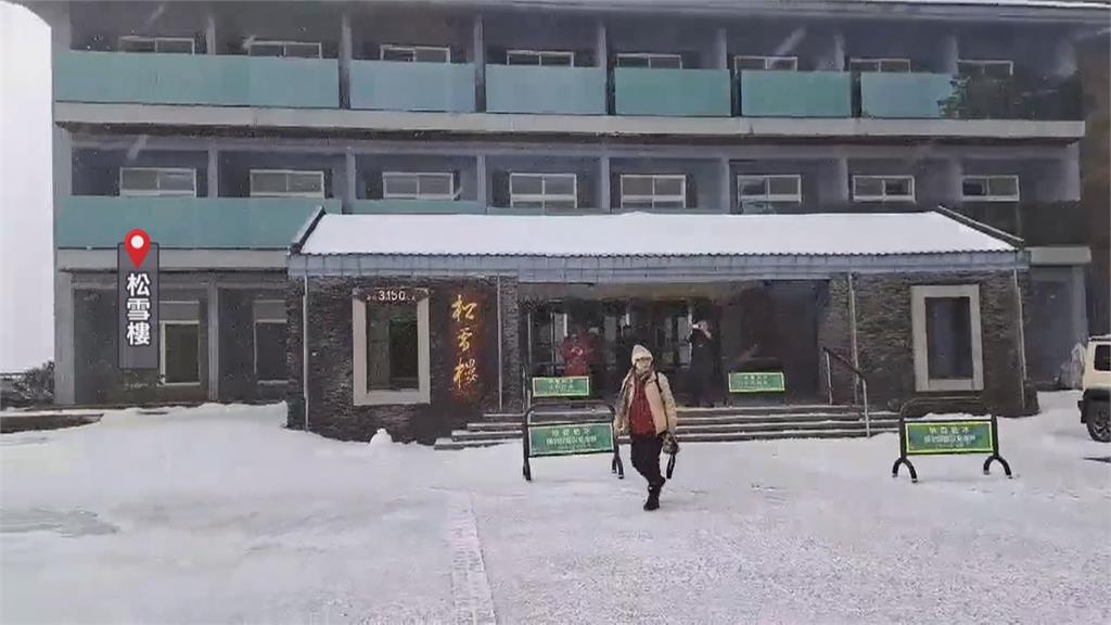 驚喜！阿里山睽違8年下雪了　清境海拔2000米喜迎瑞雪