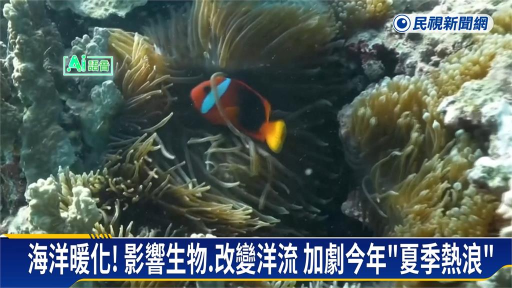 全球海面均溫升至21.1度　專家示警未來氣候劇變