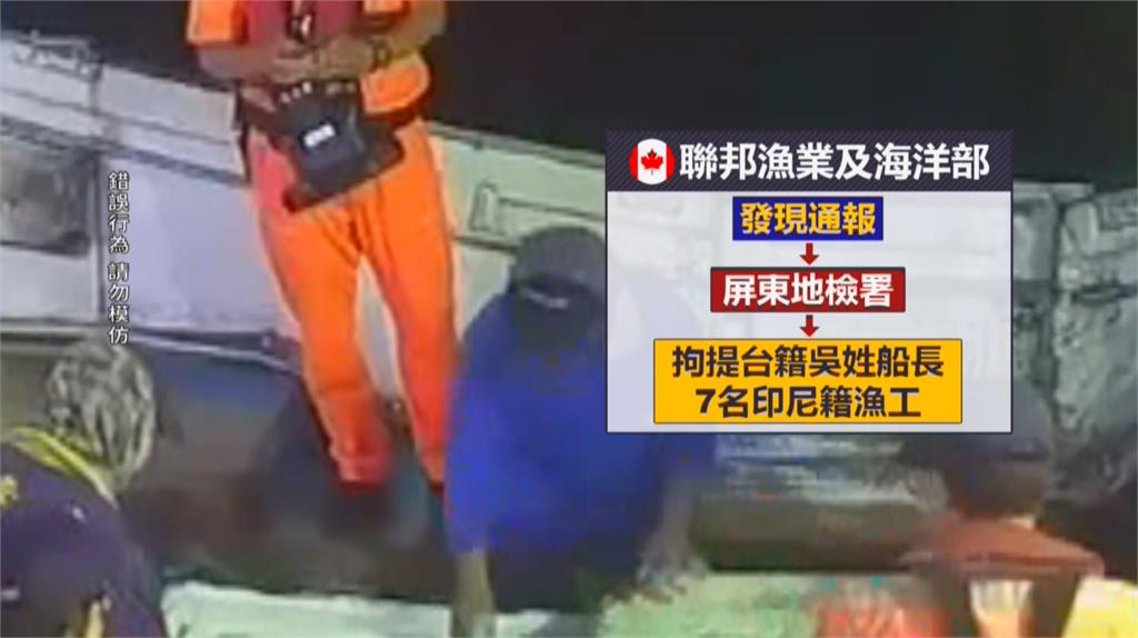 丟臉丟到加拿大! 遠洋漁船宰海豚誘鯊 船長10萬交保