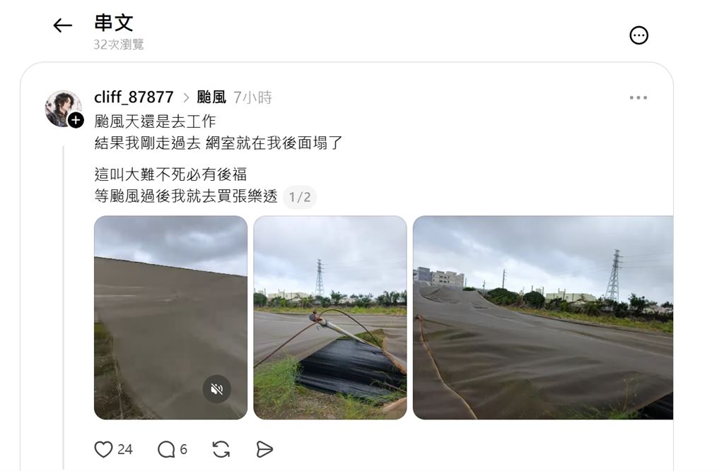 強風吹倒農田網室及巨樹　彰化農民叫苦連天
