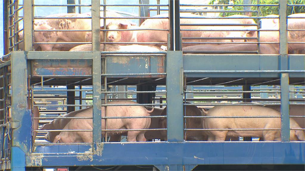 量販店到連鎖餐飲 客戶破兩千家