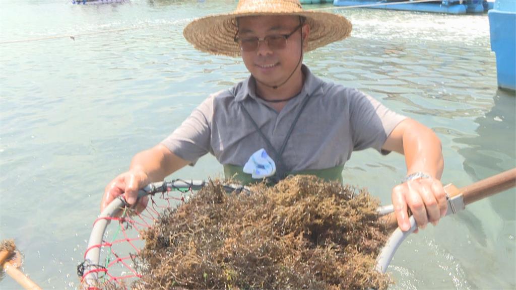 嘉義「東石海之夏」將登場 漁青推親子行程樂一「夏」