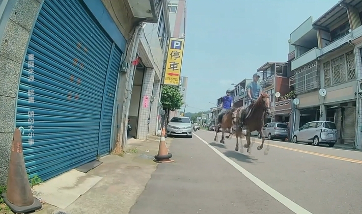 馬匹馬兒路上跑　騎士險遭馬飛踹　驚險一瞬間