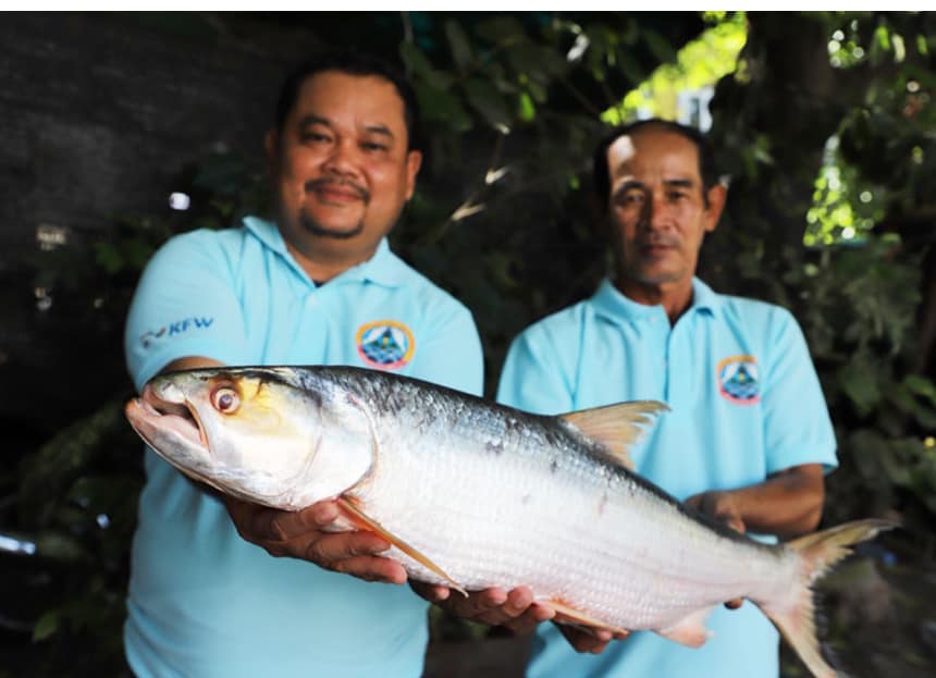 湄公河「超巨幽靈魚」消失20年又現蹤！目擊3次研究員嗨喊：希望的象徵