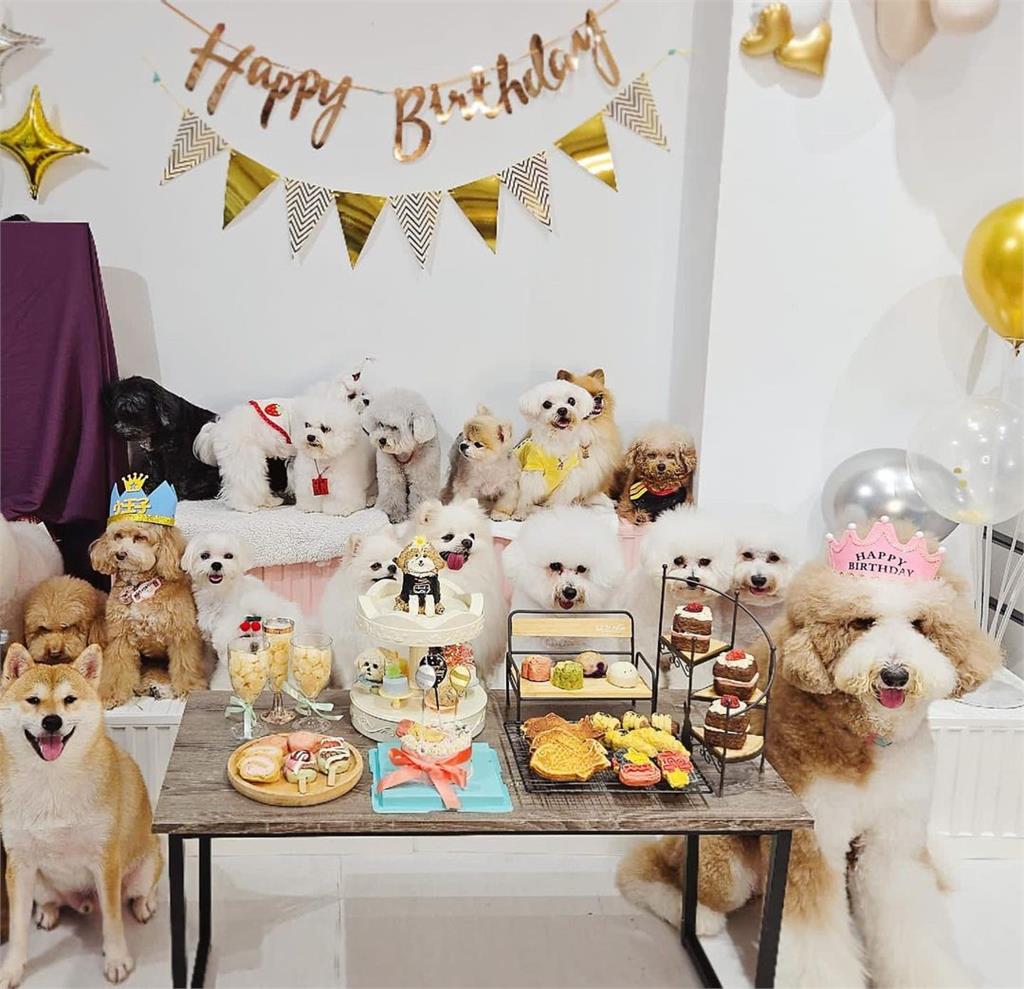 羅志祥「女兒」3歲了！生日趴邀「18隻狗朋友同樂」：儘管吃都我請