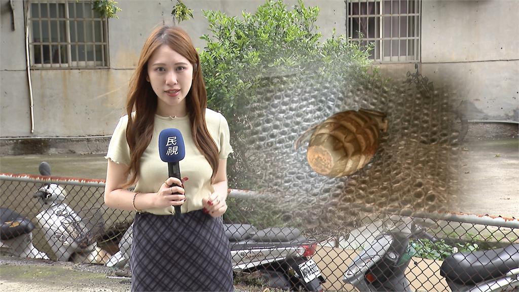 八十歲阿嬤整理舊物驚見"手榴彈" 防爆小組確認"1比1仿真"虛驚一場