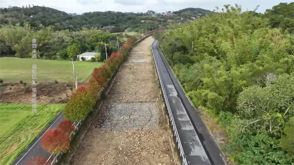 苗栗落羽松秘境 公館與通霄緋紅連線