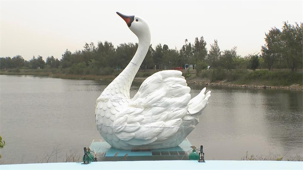 雲林天鵝湖嘉年華登場　8米高天鵝藝術裝置亮相