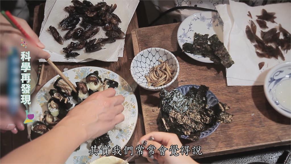運用上百種 蟲蟲大餐解糧食危機?