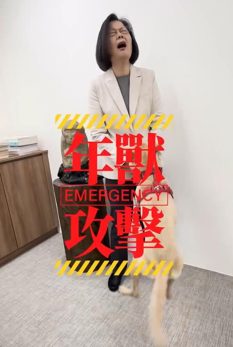 快新聞/蔡英文帶樂樂、鳳梨妹上山走春 手做肉乾太美味吸引15隻狗友歡迎