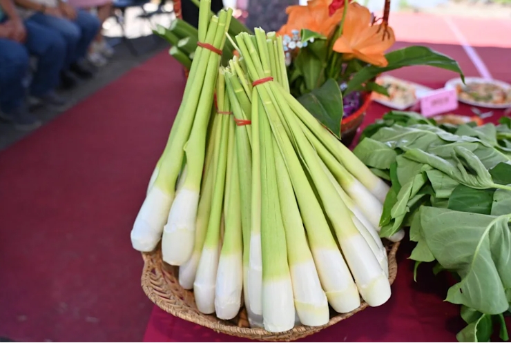 茭白筍產季到！　礁溪溫泉美人腿PK桃園甜度王