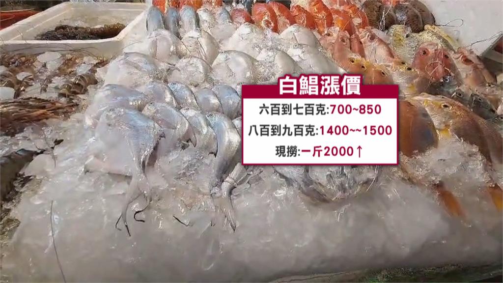 海象不佳！大明蝦量少一公斤漲300　大白鯧現撈更貴一斤至少2000元
