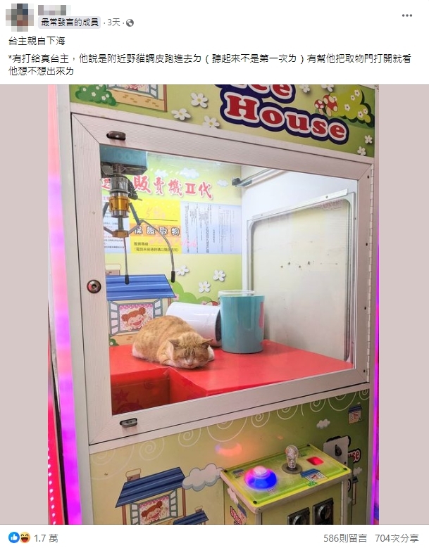 夾娃娃機驚見「橘貓台主」親自下海!Q萌暴擊網融化:抓一下幫牠按摩