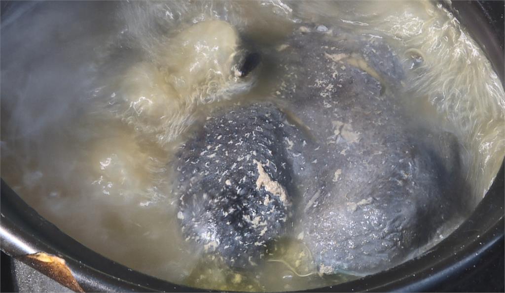 破布子盛產季！　訪間流傳破布子可解芒果毒性