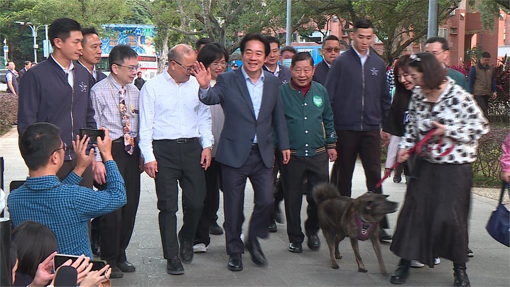 毛孩超車小孩！全台貓狗數破340萬　賴清德：目標拚零棄養