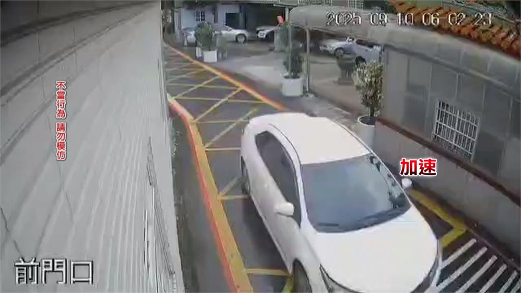 減速後又踩油門！失明老狗遭車輛輾過　飼主：駕駛怎麼可能沒感覺