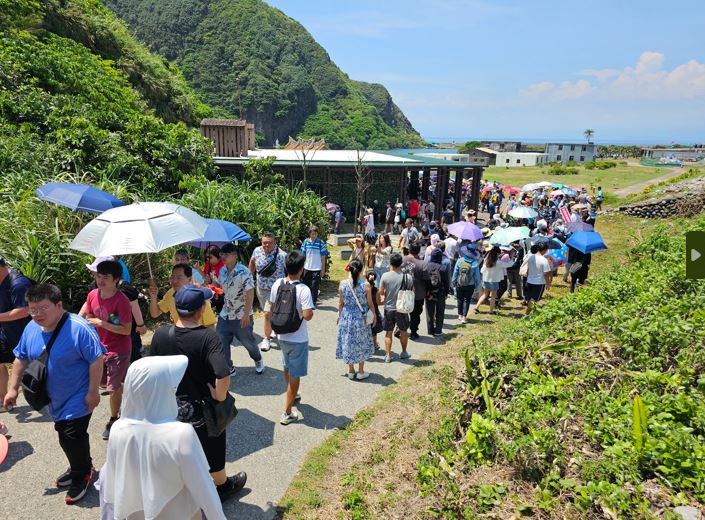 宜蘭龜山島「嬌客」大爆發! 海豚大軍伴遊小虎鯨也現蹤