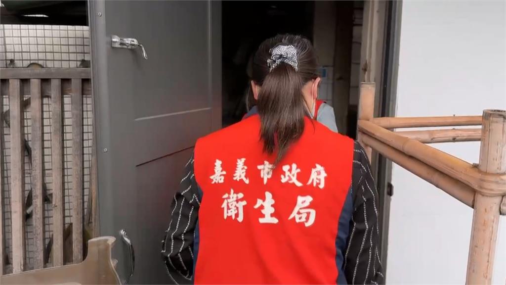 買小吃嚇「鼠」人! 新北滷味攤米奇亂竄、嘉義蜜糖地瓜被偷吃