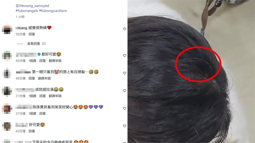 李珠珢「下班狀態判若兩人」擼狗全被拍!21歲真面目「炸出白髮」網心疼:怎麼了