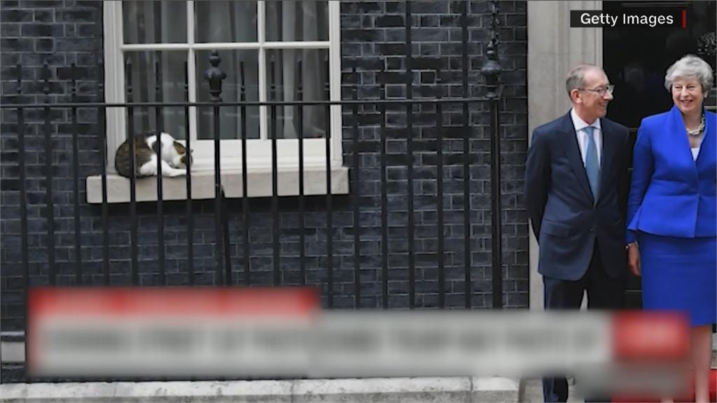 英國會新成員！　議長收養小緬因貓成新任捕鼠官