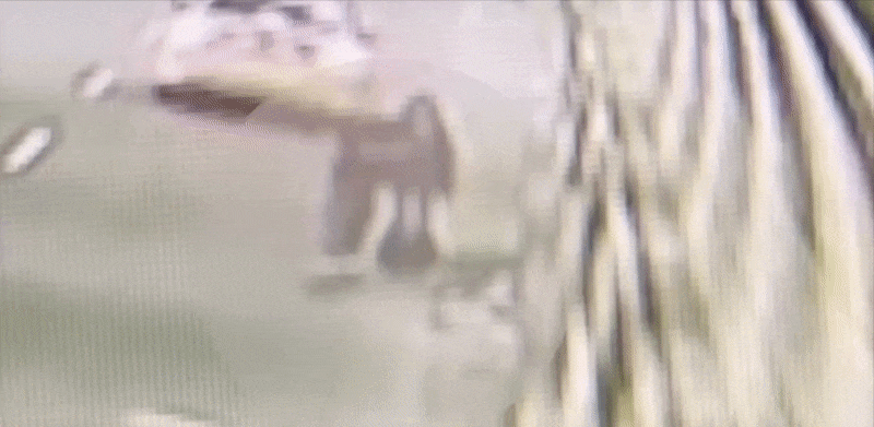 男急擲筊「基隆中山隧道」遇鬼影!看監視器「抓到2男1女」超毛真身曝