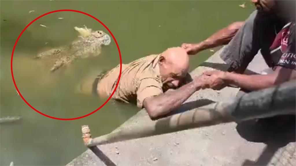 餵食鱷魚遭拖入水中僵持1小時！男員工「1腿被吃掉」重傷亡…驚悚畫面曝光