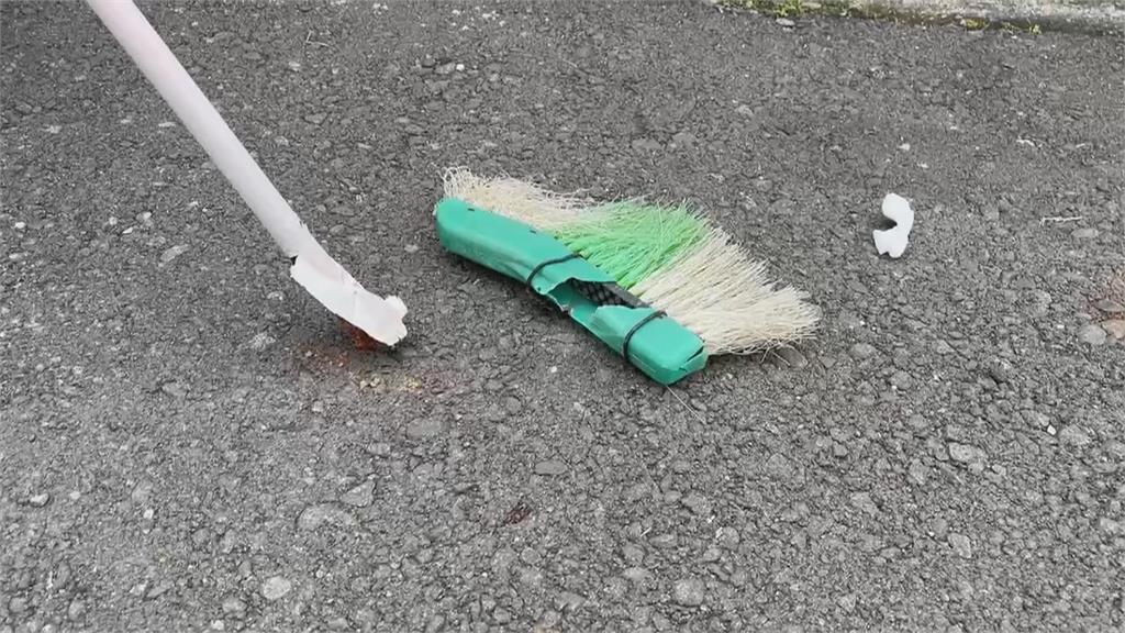 飼主未繫繩! 高雄又傳比特犬狠咬流浪狗「拖行到路中」