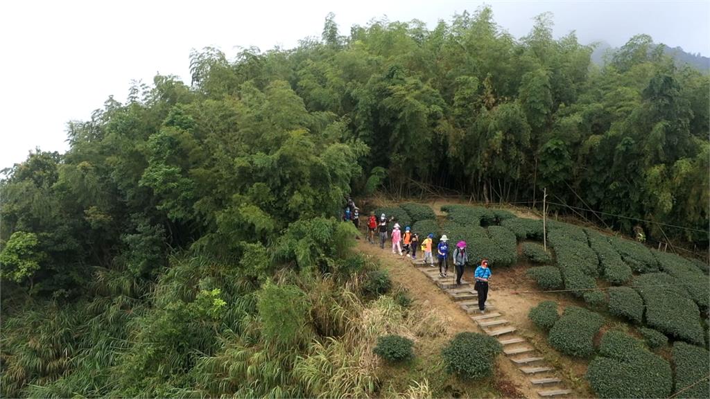 雲林樟湖生態國民中小學戶外課程　學習與土地共生！