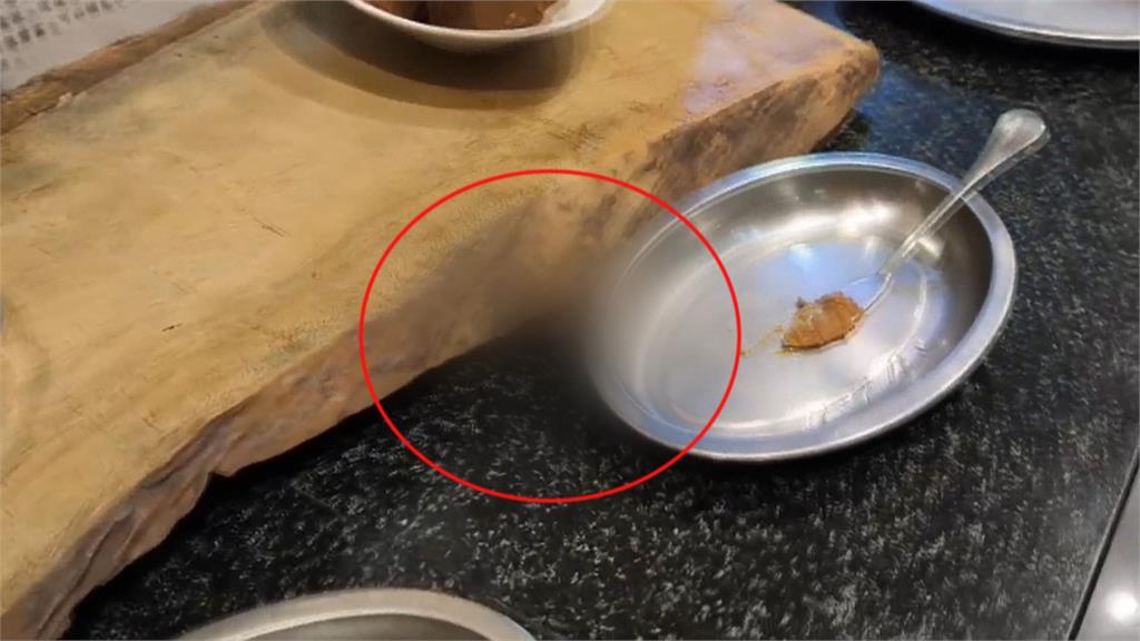 溫泉飯店餐檯赫見大隻「小強」 目擊民眾目測5公分大