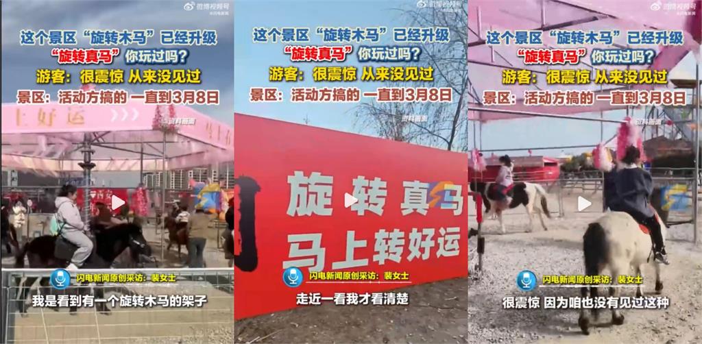景區驚現「旋轉真馬」主打：馬上轉好運！網怒喊：虐待動物「官方火速撤除」
