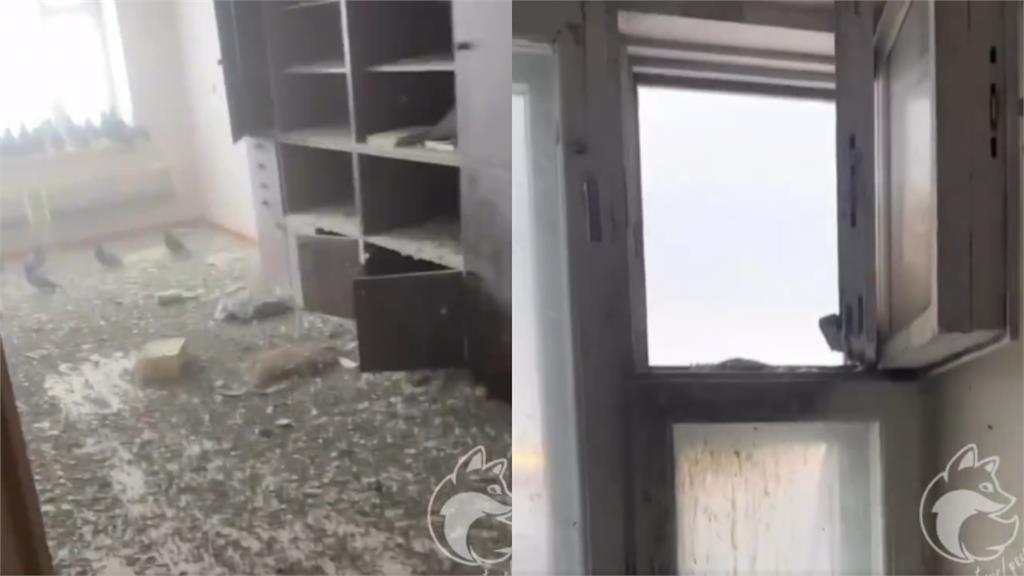 噁心畫面／男出差3年忘關窗！返家驚見家成「鴿子度假天堂」他崩潰：清理要71