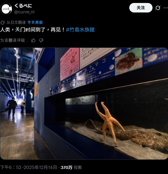 日本水族館海星「揮手道別」暴紅！萌樣狂吸370萬人搶看…網喊：像下班的我