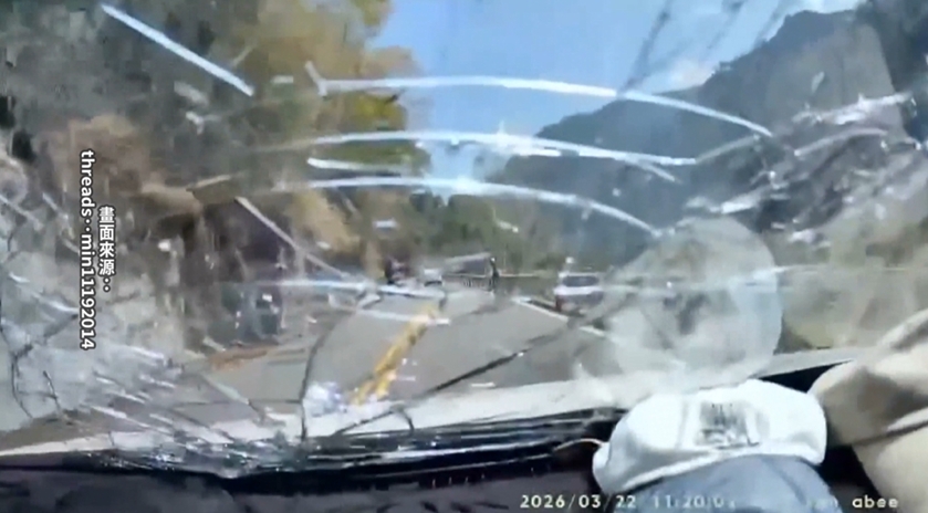 台8線谷關大樹從天降! 1車載3人遭砸險受困擬提國賠