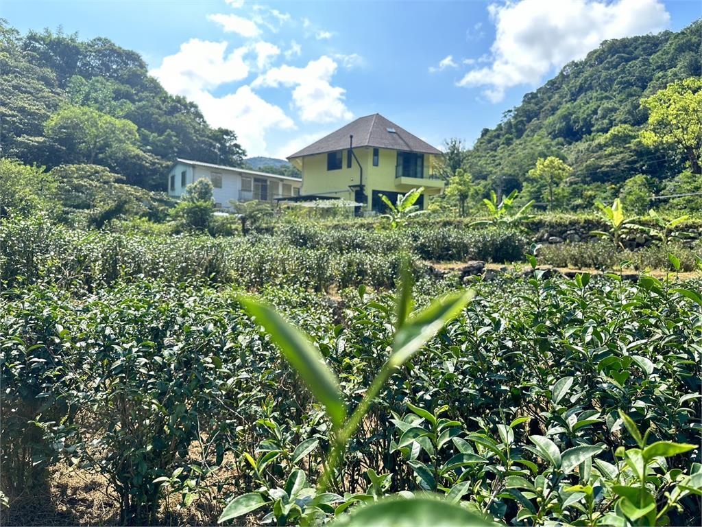 自己的水源自己救　新北永續農業運銷合作社推有機作物護水庫