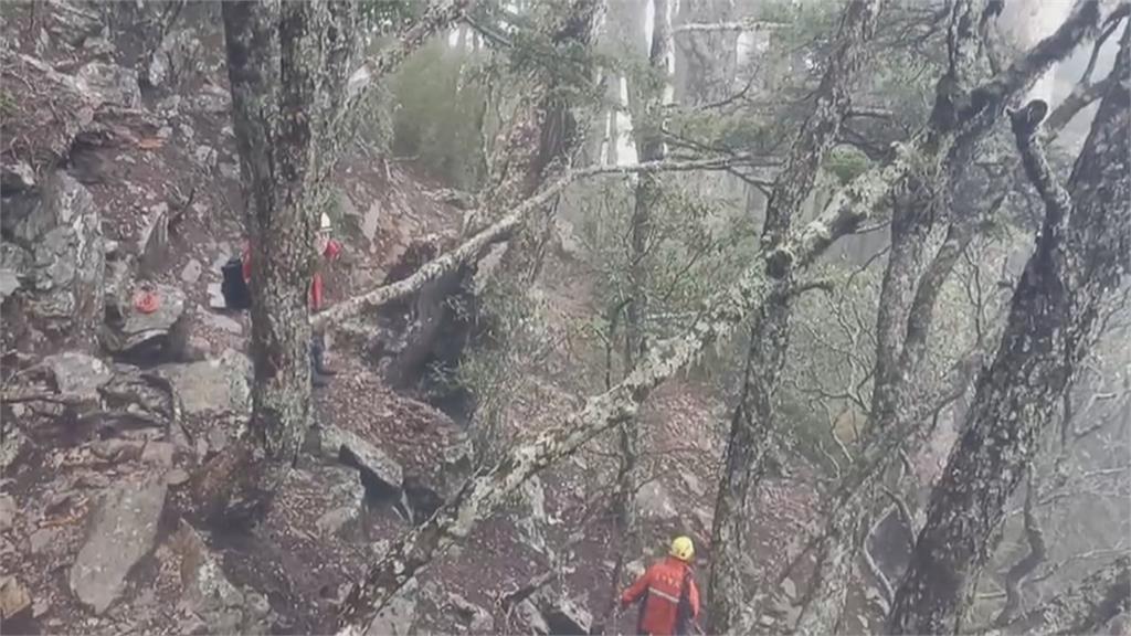 法官陳伯均墜崖魂斷山林　仰躺箭竹林遺體多處傷