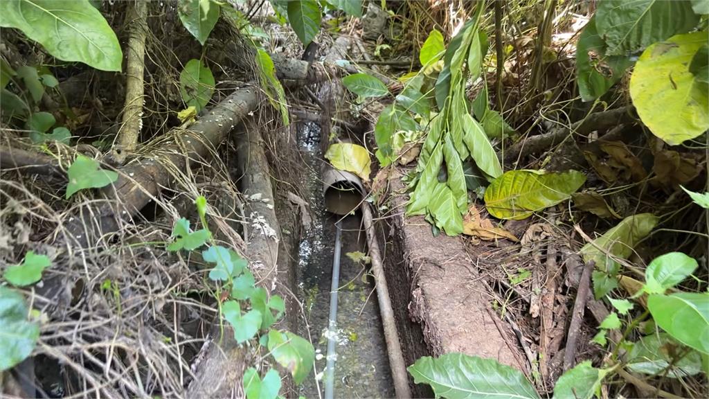 泰山屠宰場「深夜排放血水」　工廠最高將裁罰2千萬