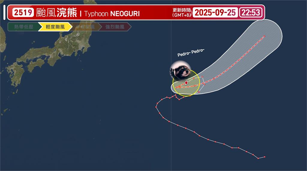 和樺加沙同天轉強颱！「浣熊颱風」還在海上亂竄　粉專搬迷因笑翻：無害小浣熊