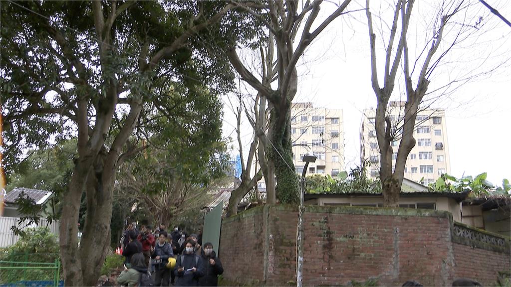 都更案申請保護「老芒果樹」 建商未獲執照竟擅自砍伐