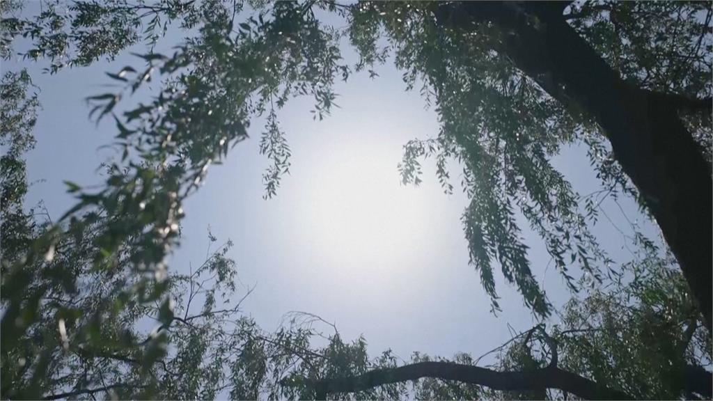 北京飆39.4度破紀錄高溫成「大型烤箱」　上海迎百年來最熱5月