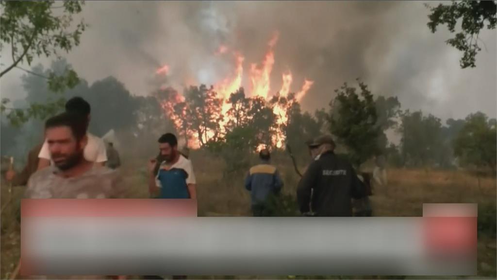 地中海野火燒進北非！　阿爾及利亞71人喪命
