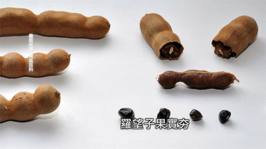 高雄民眾半夜衛武營搖樹！　竟是爭採「羅望子」