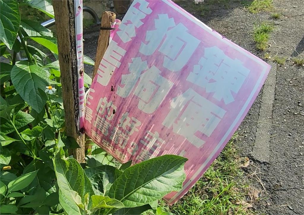 花蓮社區淪獵場?黑狗追咬死貓 住戶怒控非首次
